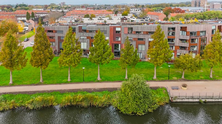 Foto 30 van Kokardebloem 50