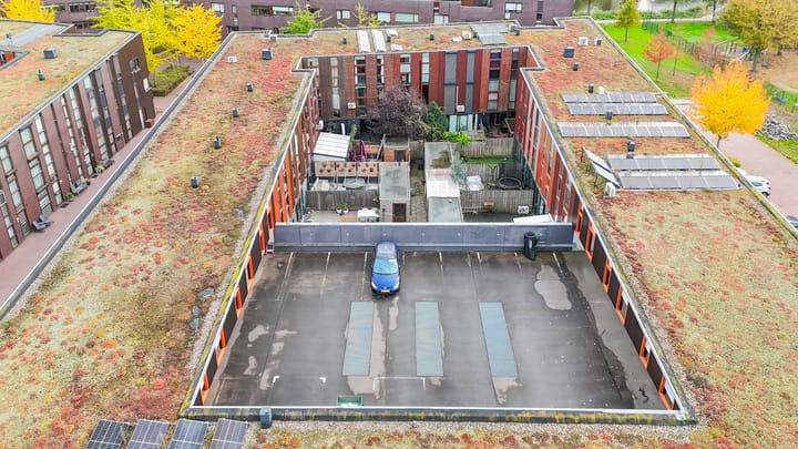 Foto 33 van Kokardebloem 50