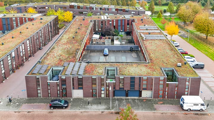 Foto 34 van Kokardebloem 50