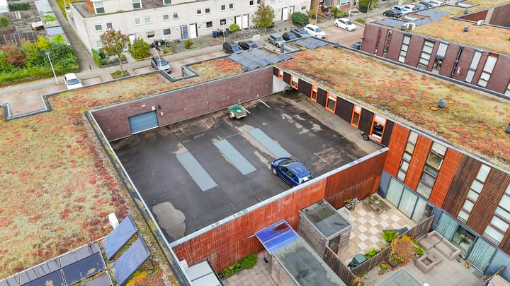 Foto 35 van Kokardebloem 50