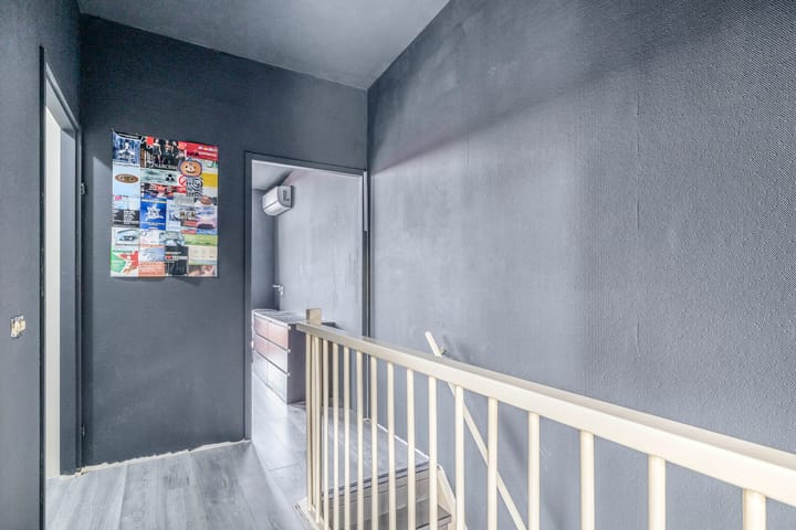 Foto 17 van Kokardebloem 50