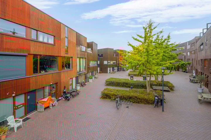 Foto 25 van Kokardebloem 50