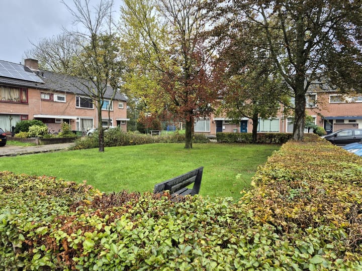 Foto 2 van den Drink 6