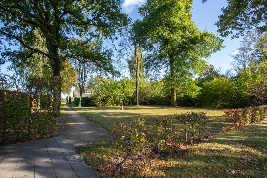 Foto 32 van Calluna 7