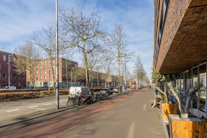 Foto 43 van IJburglaan 917