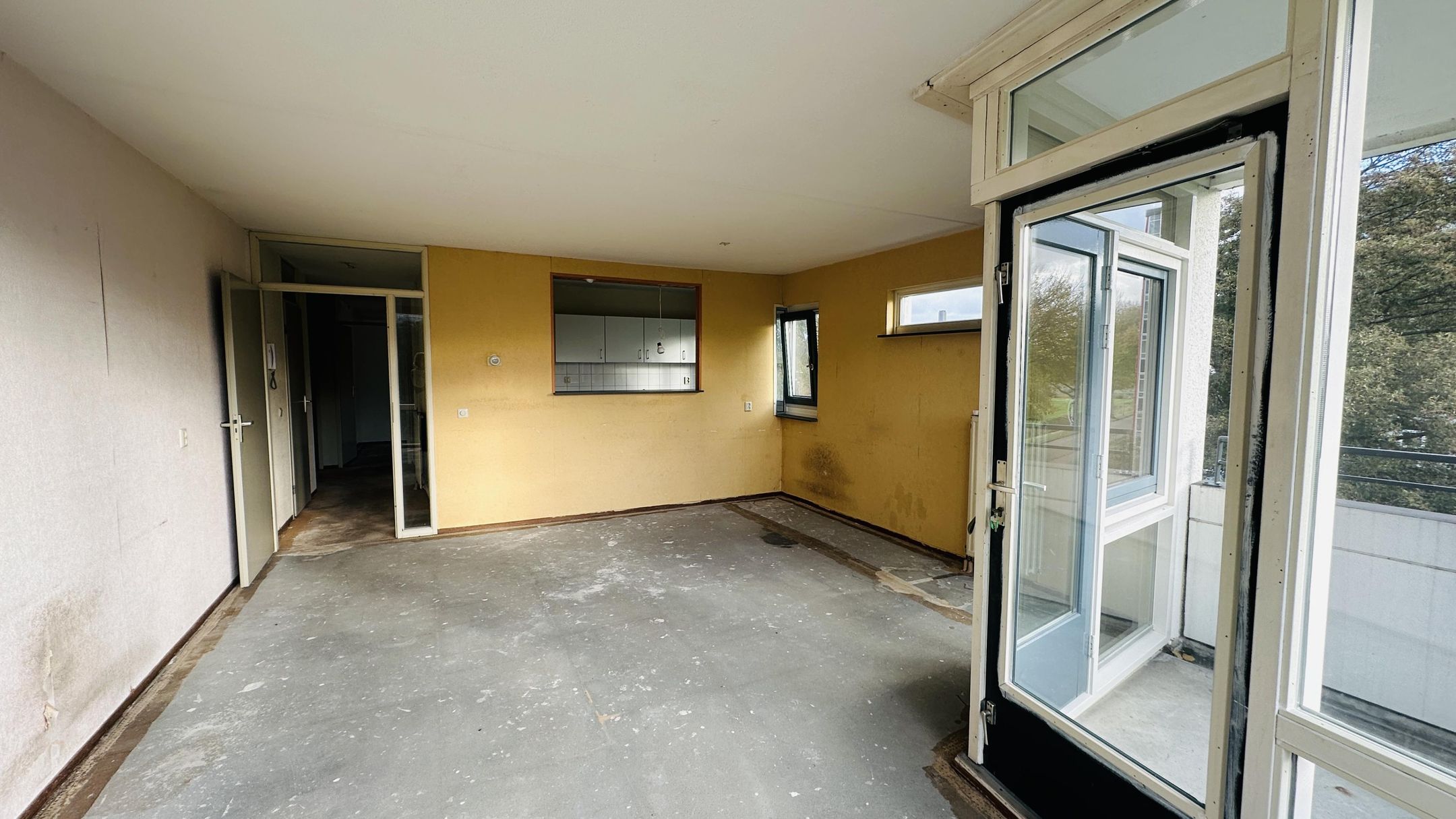 Foto 3 van Buizerdlaan 50