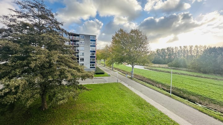 Foto 12 van Buizerdlaan 50