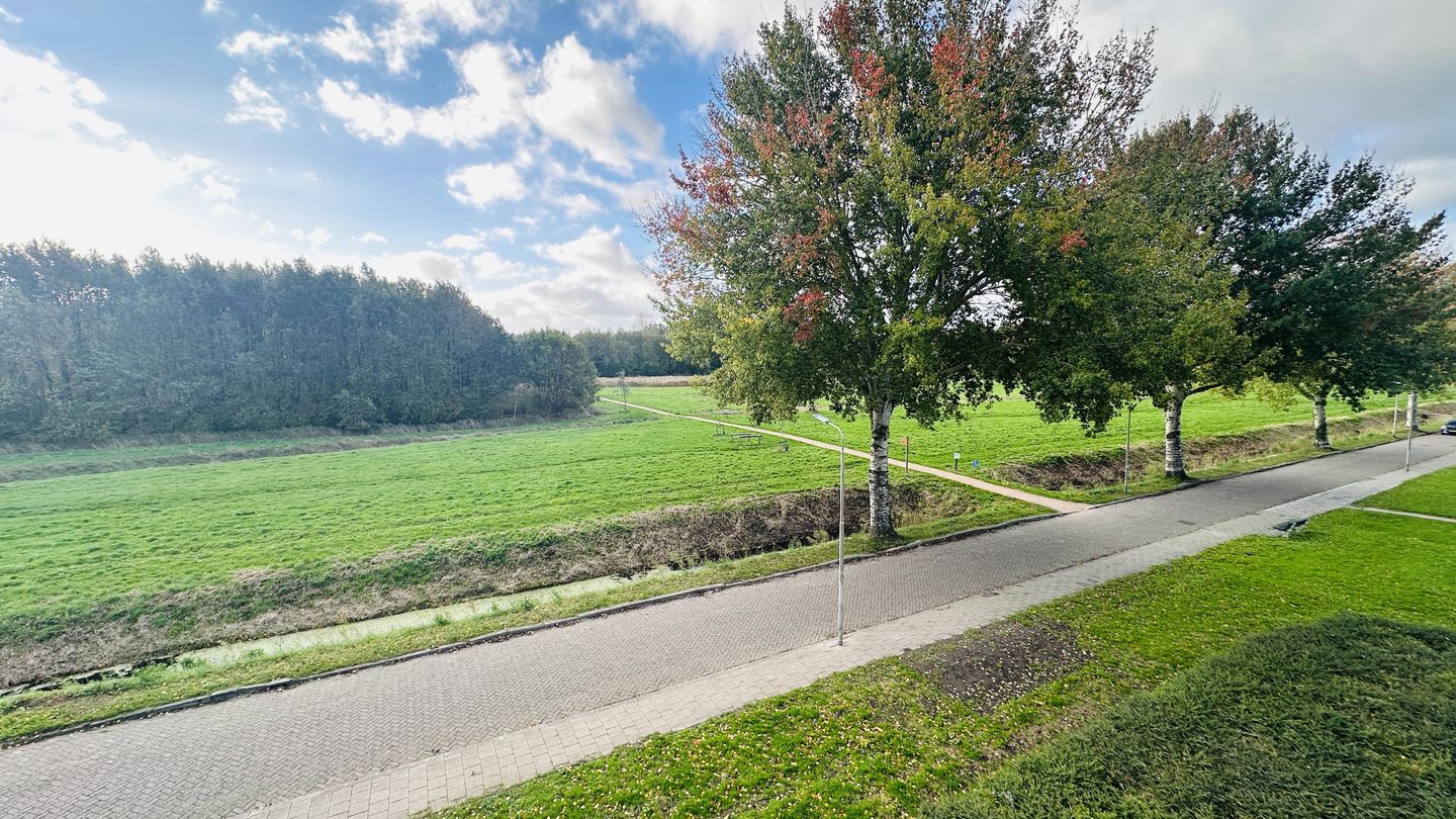 Foto 14 van Buizerdlaan 50