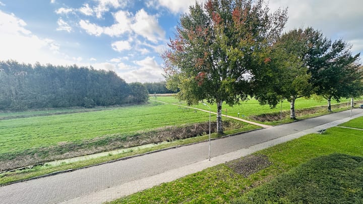 Foto 14 van Buizerdlaan 50