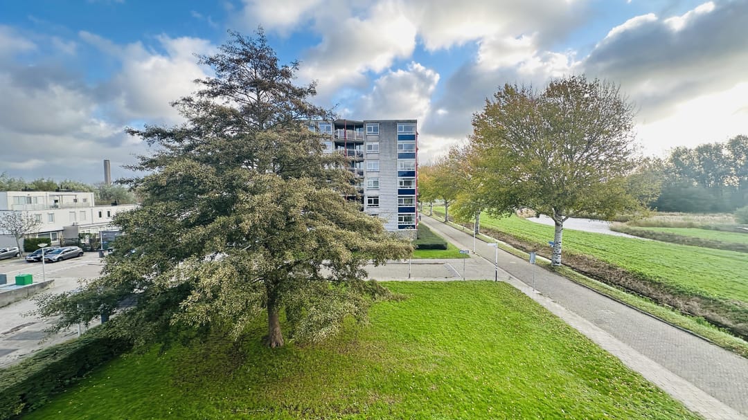 Foto 13 van Buizerdlaan 50