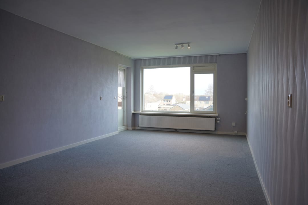 Foto 2 van Grote Beer 8-033