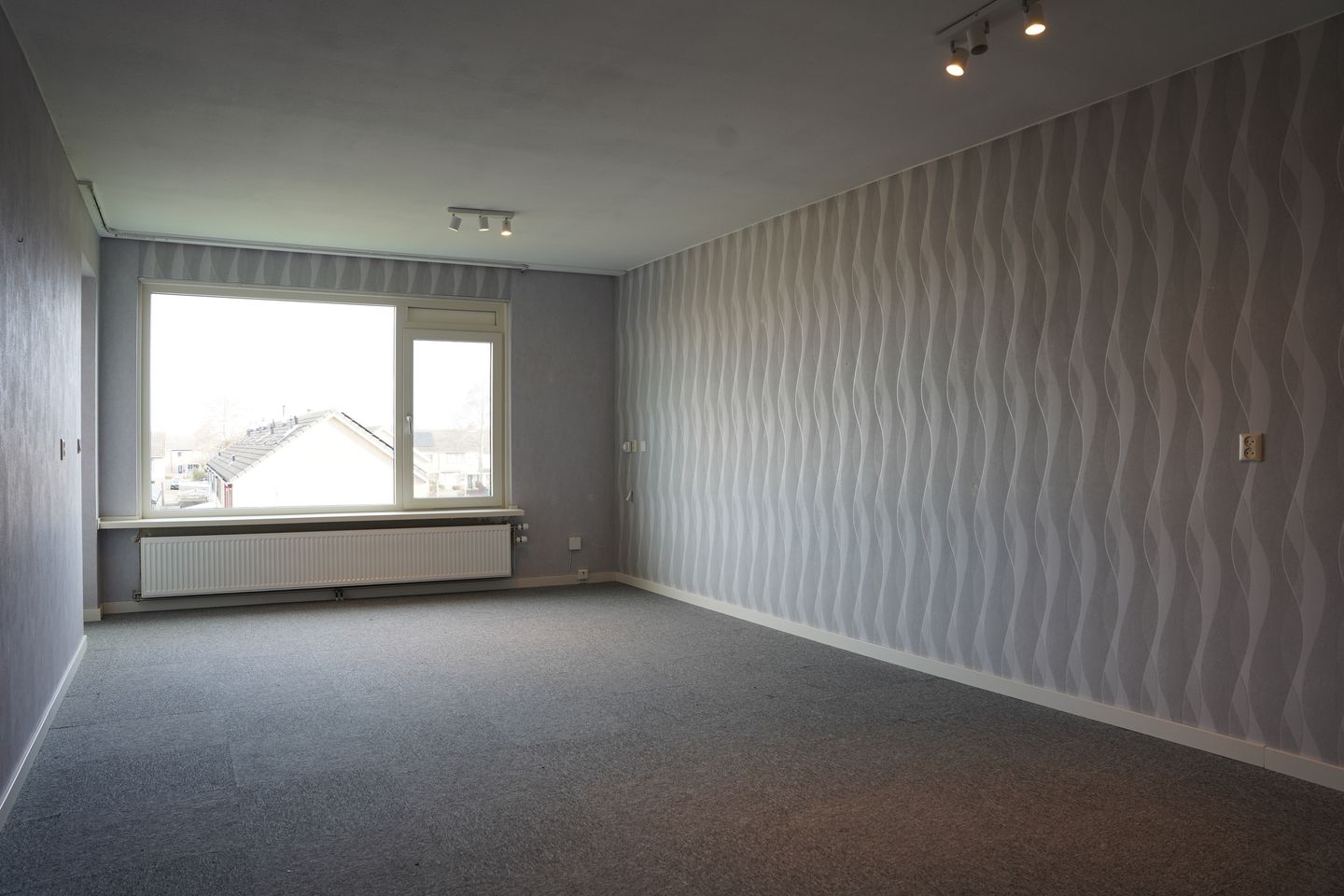 Foto 4 van Grote Beer 8-033