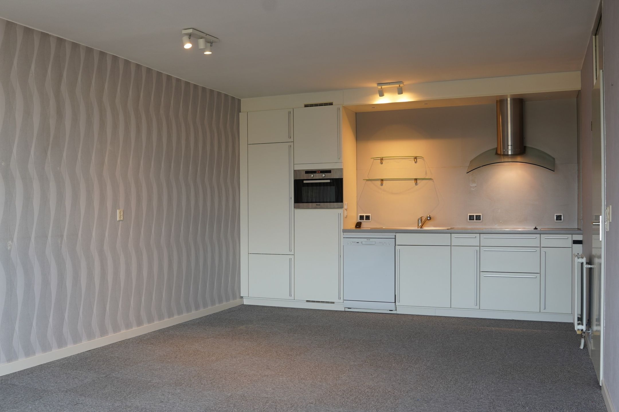 Foto 6 van Grote Beer 8-033