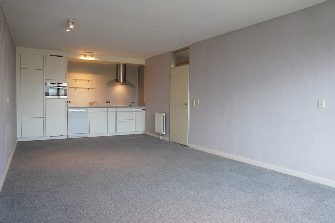 Foto 7 van Grote Beer 8-033