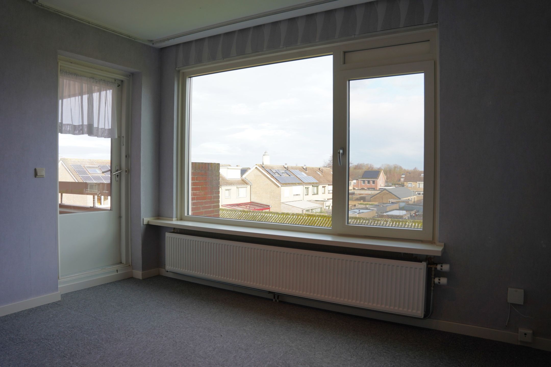 Foto 9 van Grote Beer 8-033