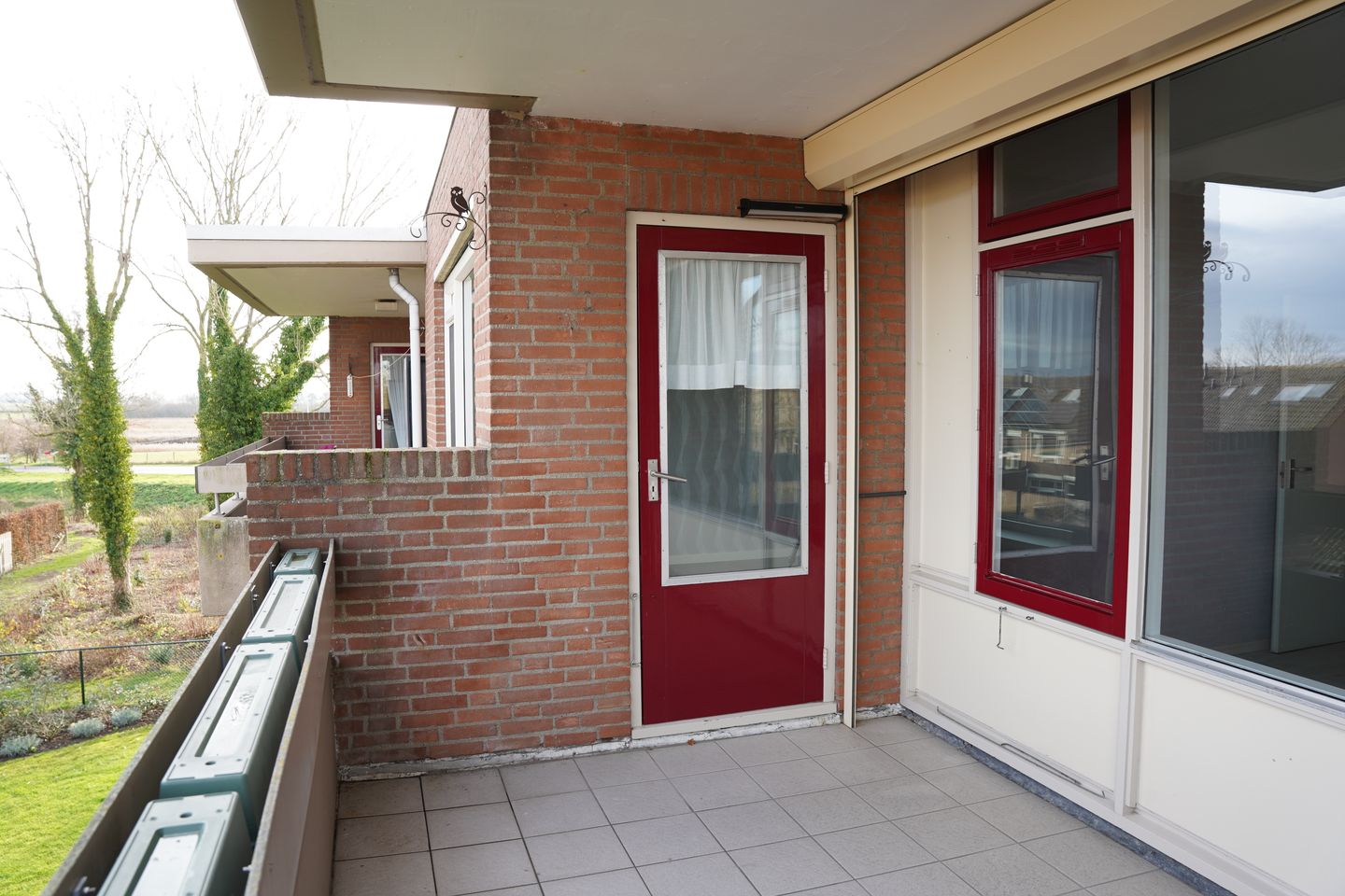 Foto 10 van Grote Beer 8-033