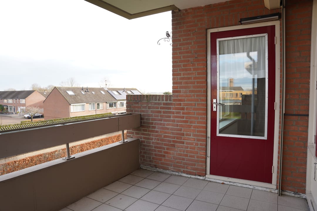 Foto 11 van Grote Beer 8-033