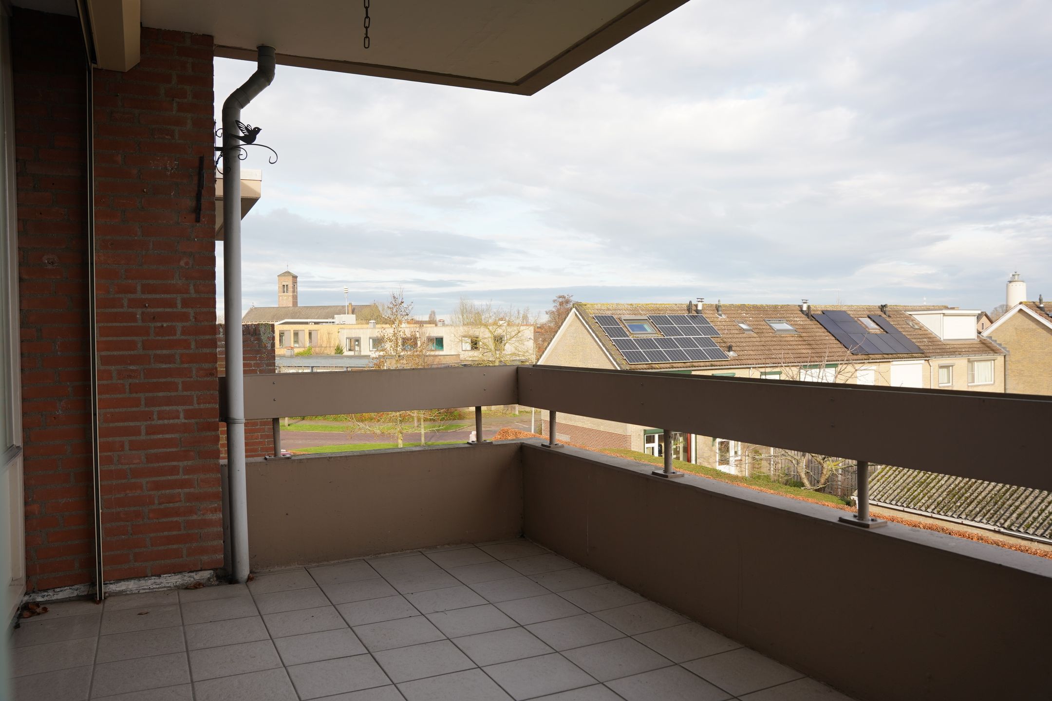 Foto 12 van Grote Beer 8-033