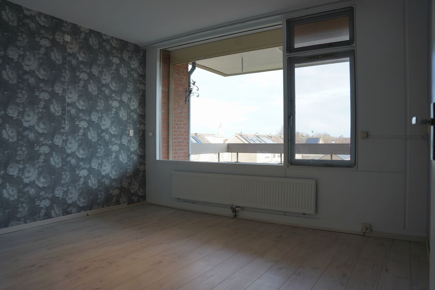 Foto 14 van Grote Beer 8-033