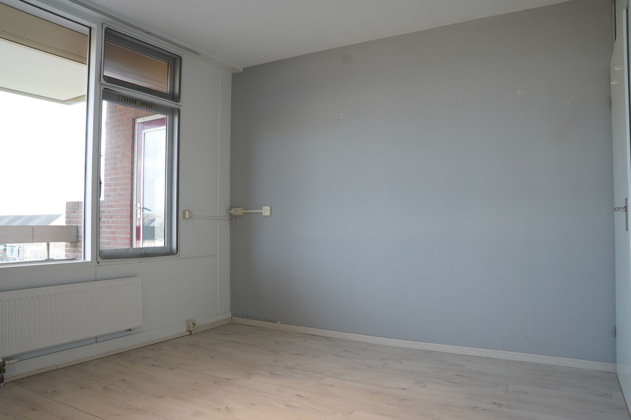 Foto 15 van Grote Beer 8-033