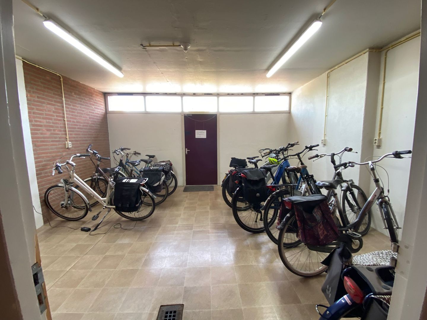 Foto 19 van Grote Beer 8-033