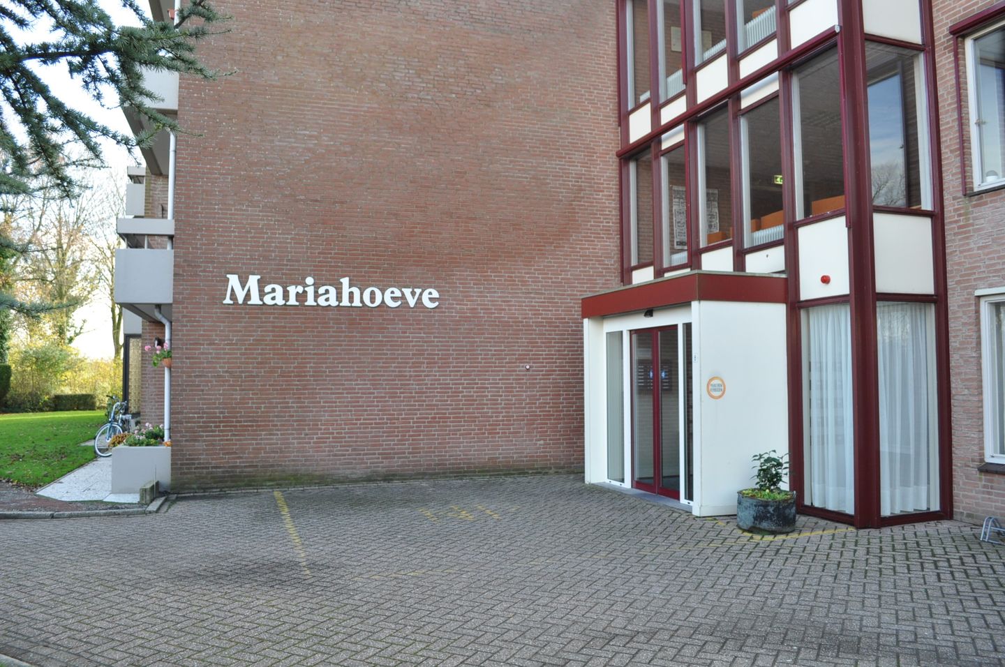 Foto 20 van Grote Beer 8-033