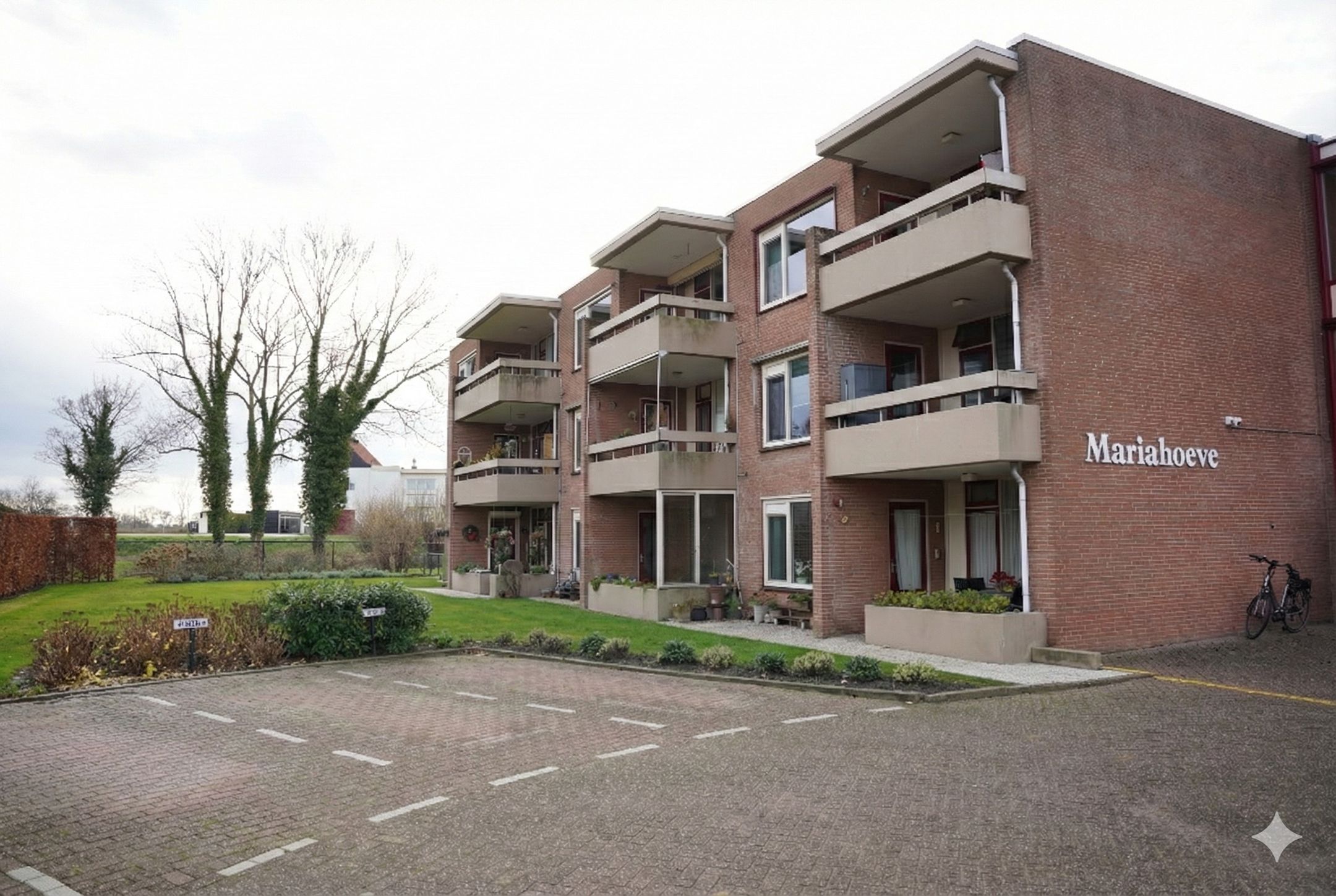 Foto 21 van Grote Beer 8-033