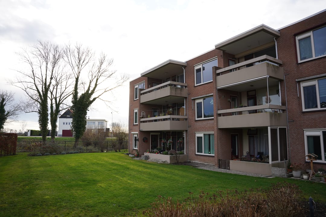 Foto 22 van Grote Beer 8-033