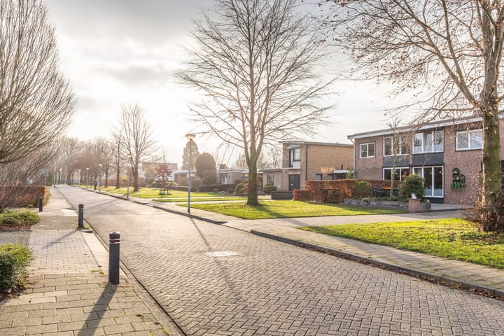 Photo 48 of Buitenschans 6