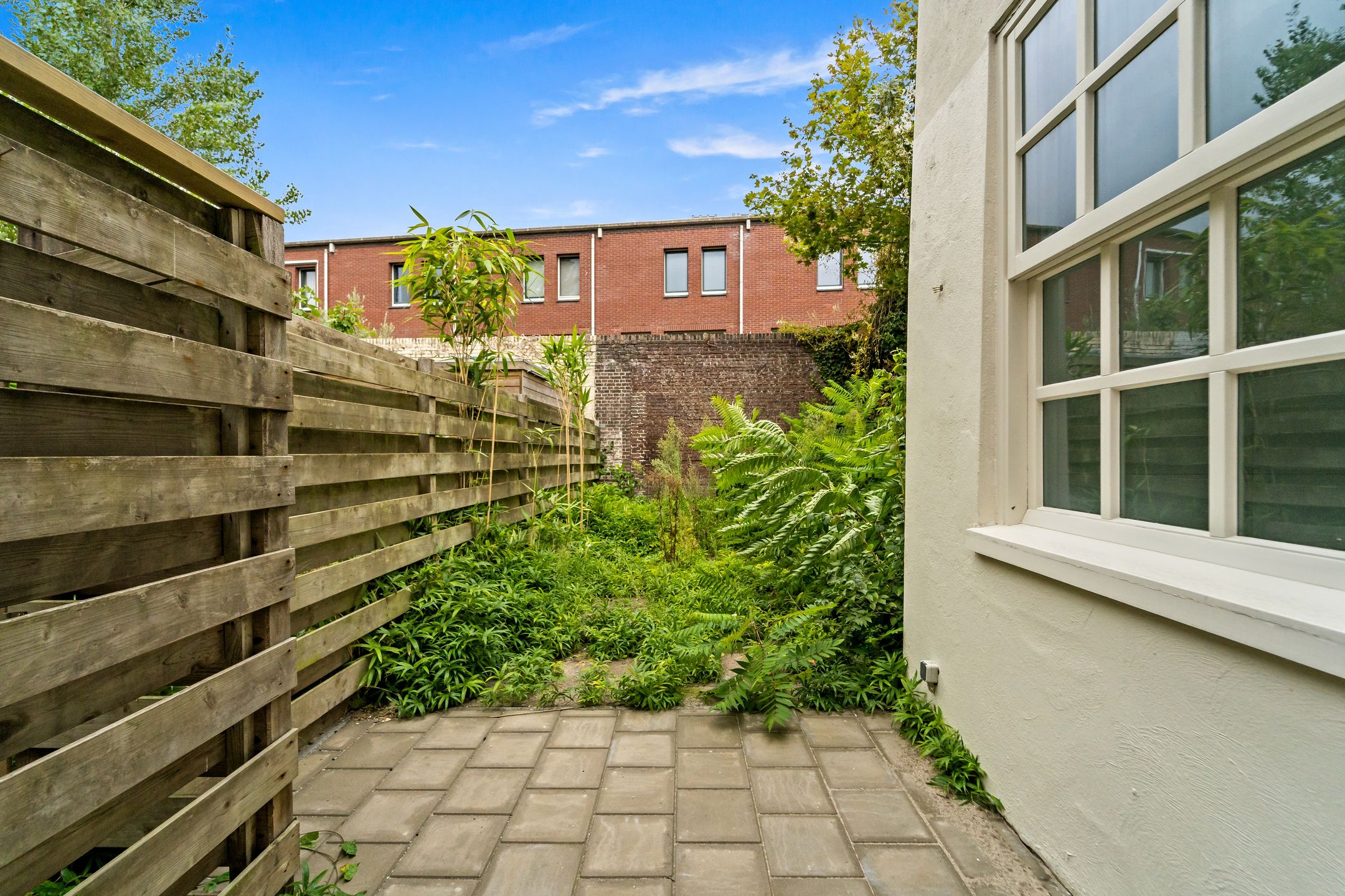 Photo 3 of Uilebomen 19