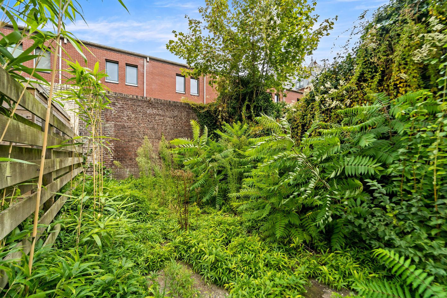 Photo 20 of Uilebomen 19