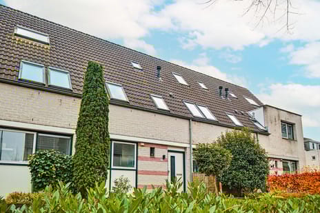 Martin Luther Kingstate thumbnail