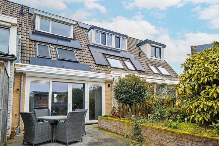 Photo 4 of Martin Luther Kingstate 29