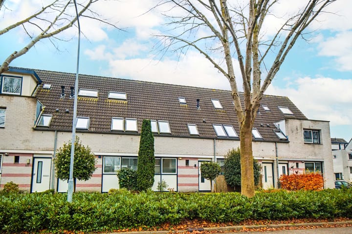 Foto 5 van Martin Luther Kingstate 29