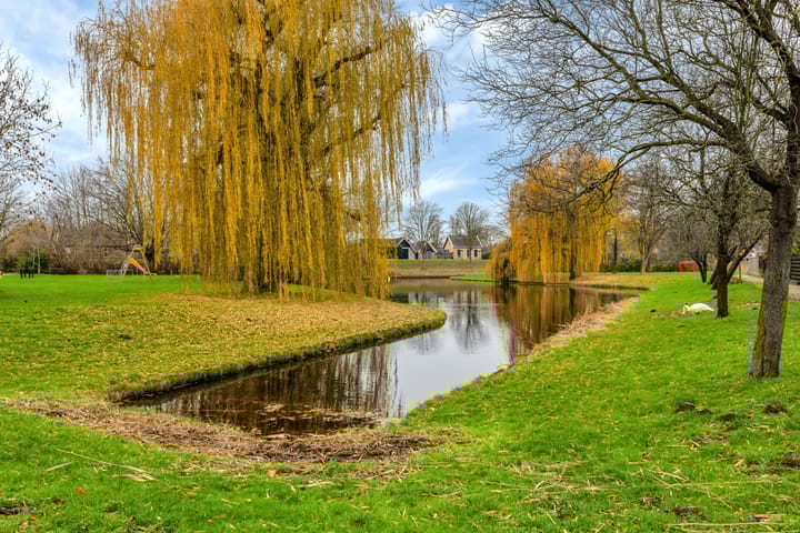 Foto 39 van Hackfortstraat 27