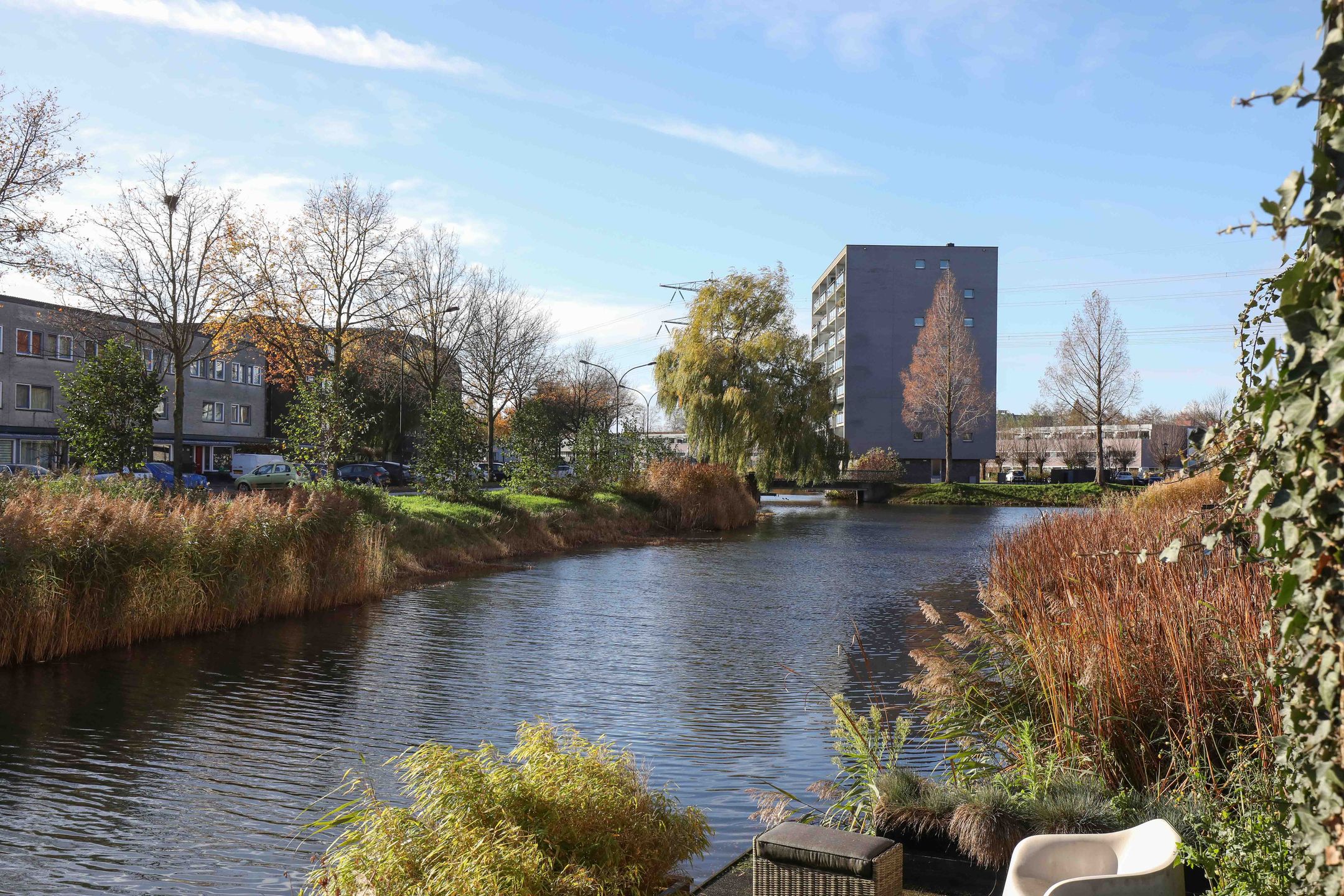 Foto 36 van Kikkerbeet 9