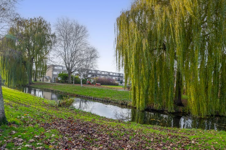 Foto 37 van Fregat 26