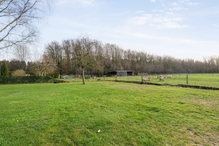 Photo 57 of De Stelling 34