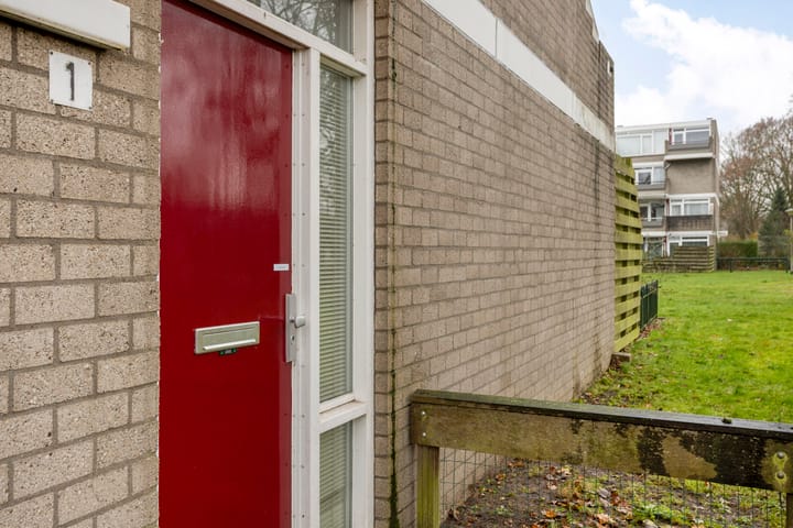 Foto 5 van Engelsmanplaat 1