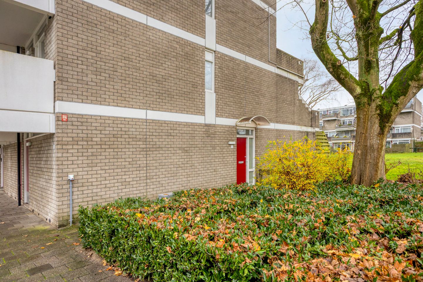 Photo 20 of Engelsmanplaat 1
