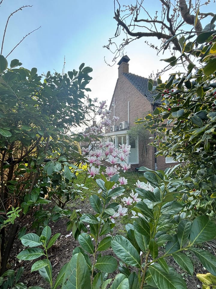 Foto 49 van Erfgooiersweg 28