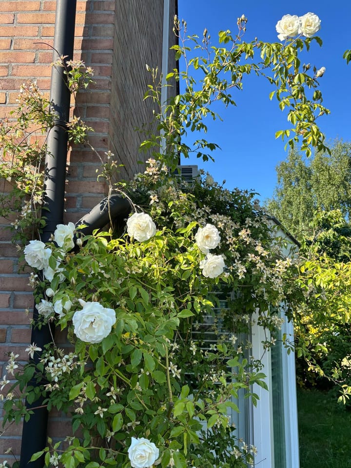 Foto 50 van Erfgooiersweg 28