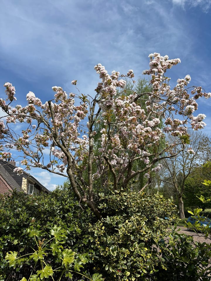 Foto 51 van Erfgooiersweg 28