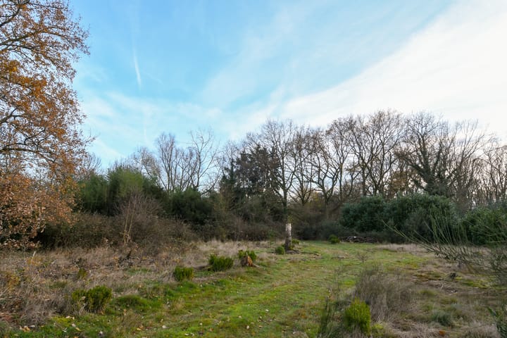 Photo 28 of Kuukven 47