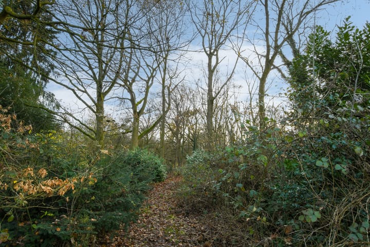 Photo 29 of Kuukven 47