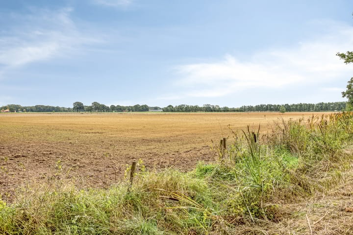 Foto 29 van Staringstraat 39