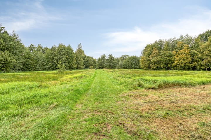 Foto 31 van Staringstraat 39