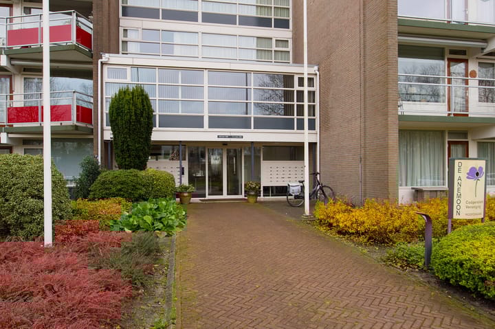 Foto 8 van Anemoonstraat 147