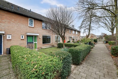 Peter Benoitpark thumbnail