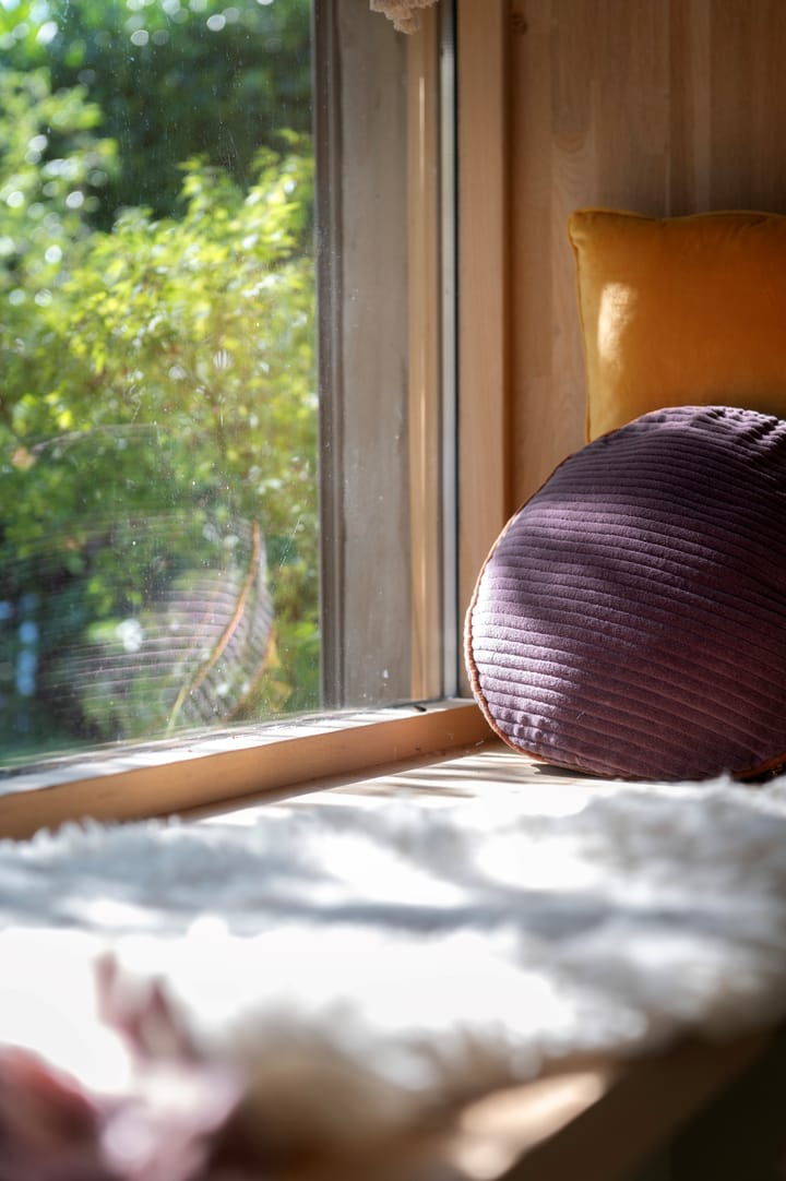 Foto 49 van Hoogstedelaan 69